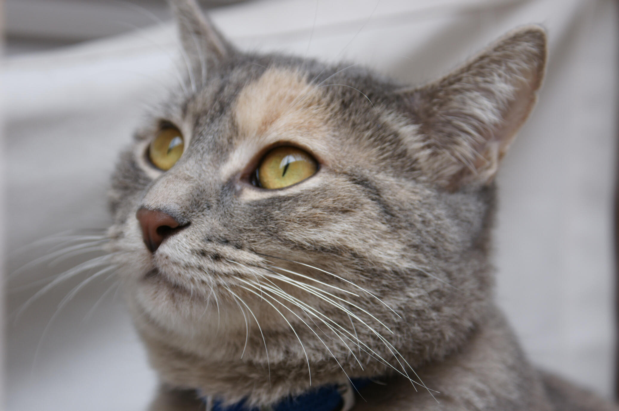 Anything interesting? - Venice