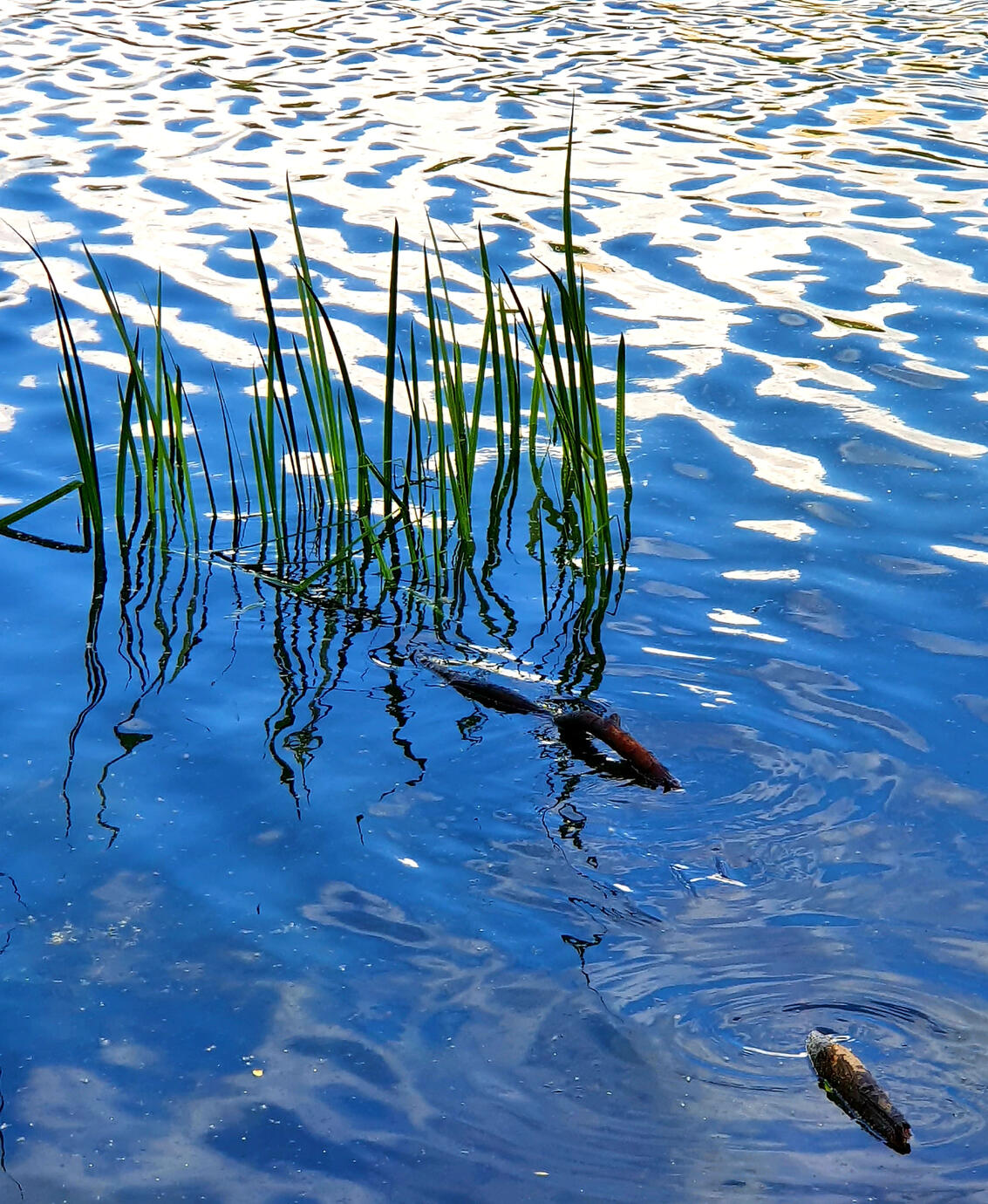 Abstract blue - Moscow