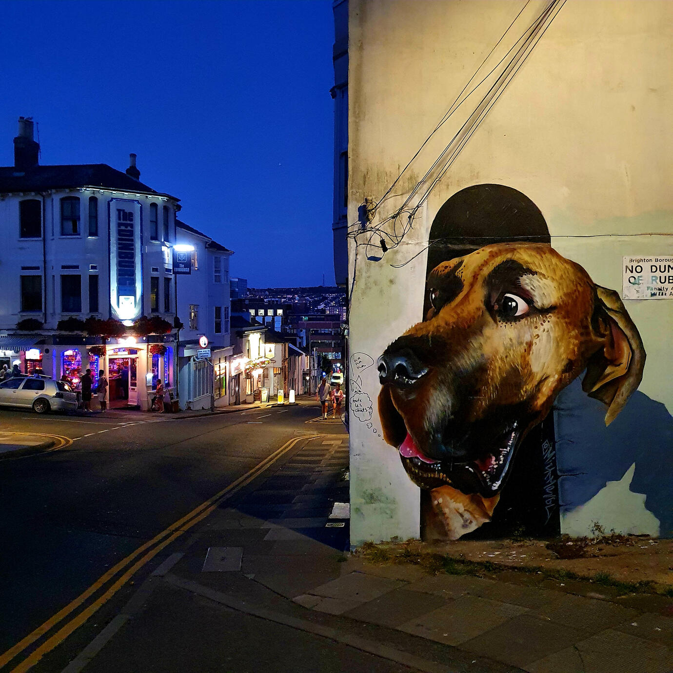 Who let the dog out - Brighton