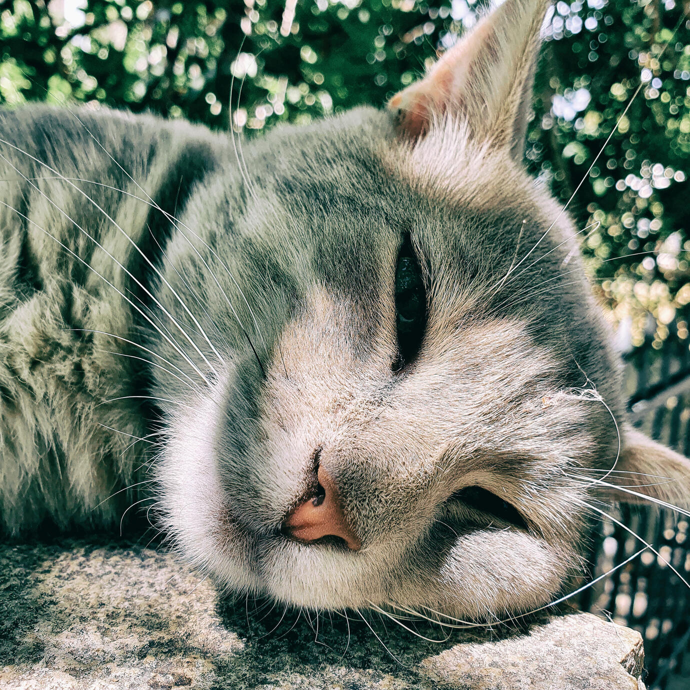 Deep thinking - Athens