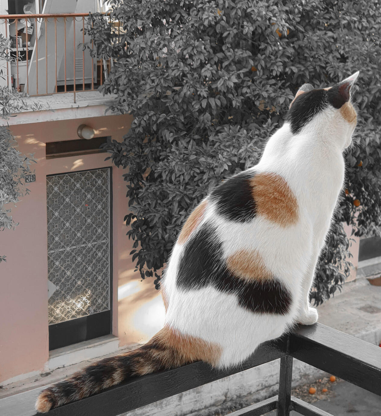 Contemplating - Athens